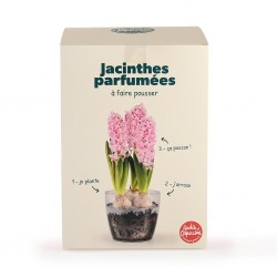 Kit Jacinthes parfumés à...
