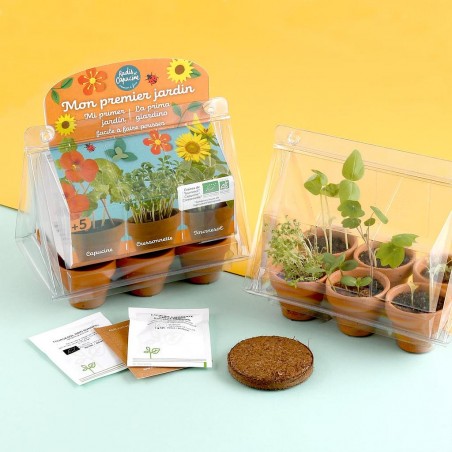 “My First Vegetable Garden” Mini Greenhouse for Kids (PET)
