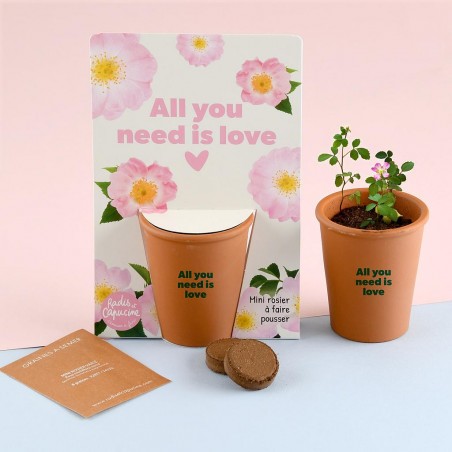 Kit jardinage message "All you need is love" - Rosier
