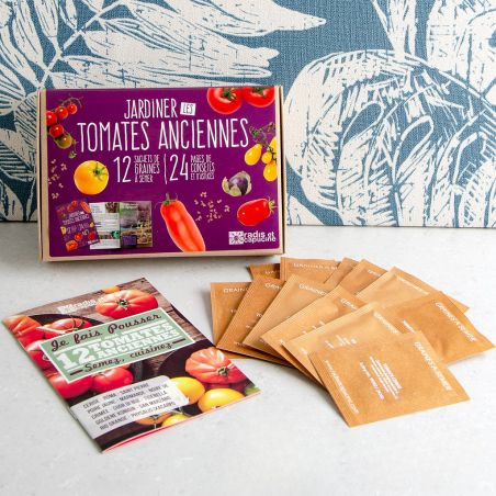 Coffret 12 sachet tomates anciennes