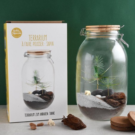 Terrarium DIY Sapin de Noël