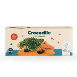 Crocodile