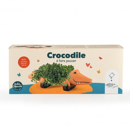 Crocodile