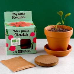My Little Organic Radishes...