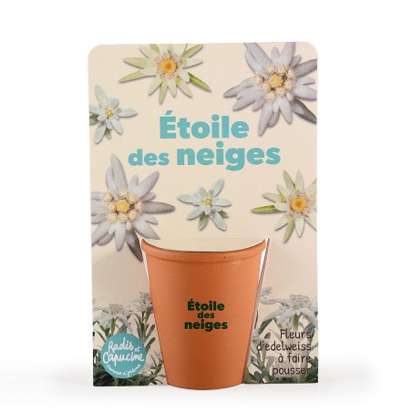 Kit jardinage message "Etoile des neiges" - Edelweiss