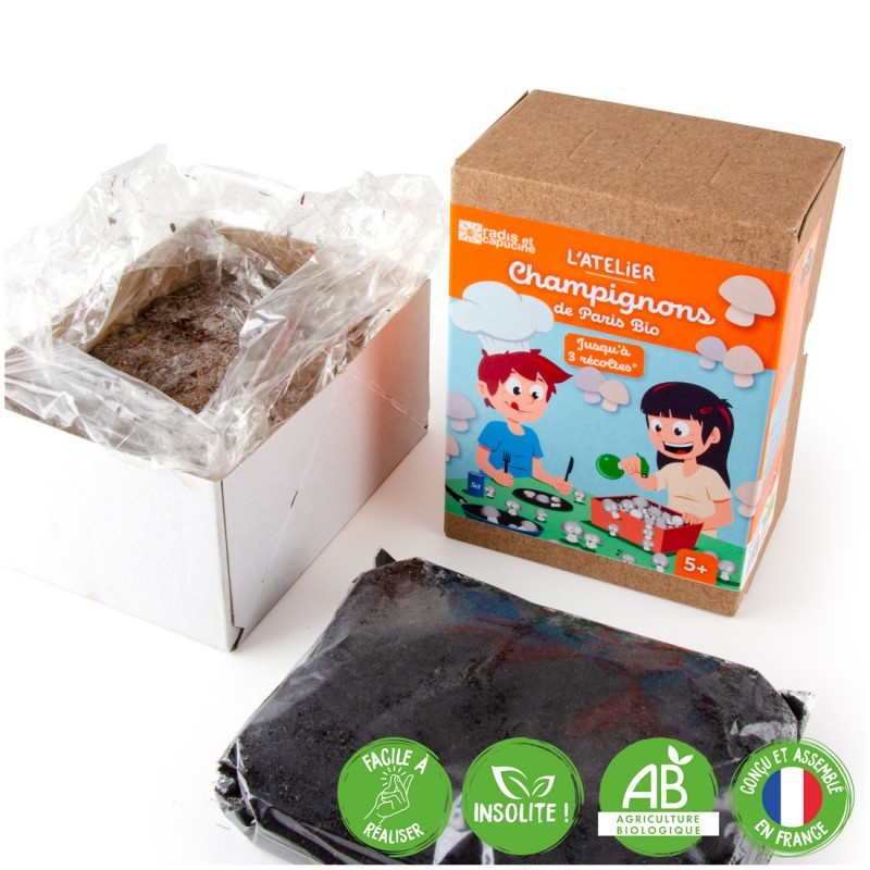 Jardin de poche Basilic bio