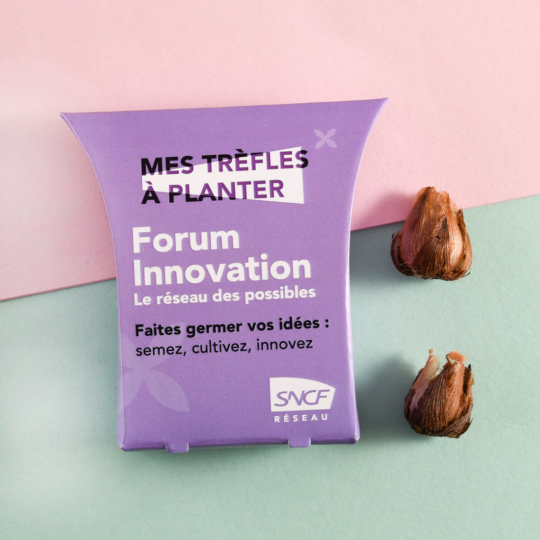 Berlingot avec des bulbes de trèfles