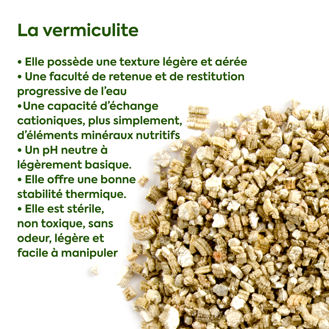 Vermiculite Expansée Moyenne, PH Neutre Pour Germination, Croissance Plantes, Champignons Et