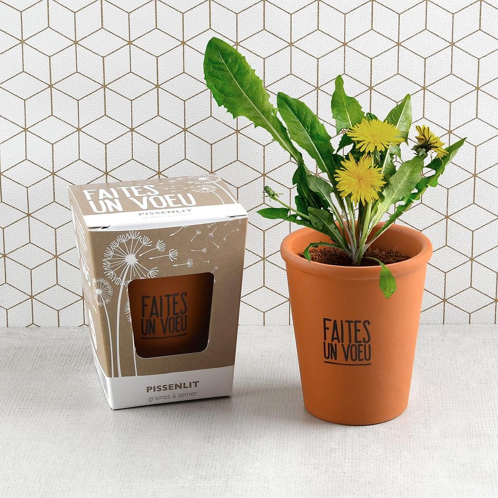 Merz Designkarten Lot De 10 Cartes De Vœux De Qualité Supérieure Motif Fleurs De Pissenlit