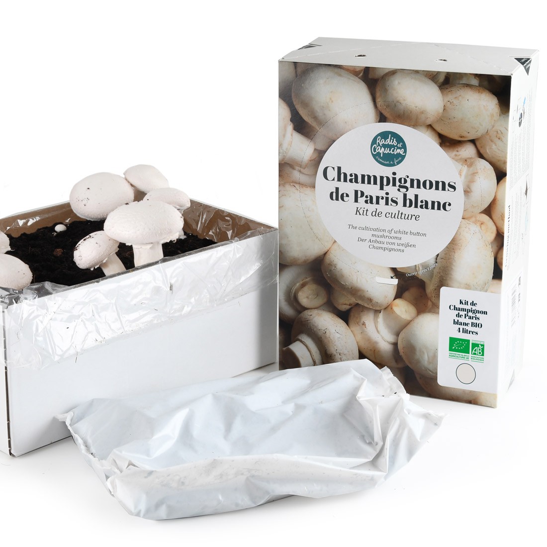 Kit Champignon Hallucinogne
