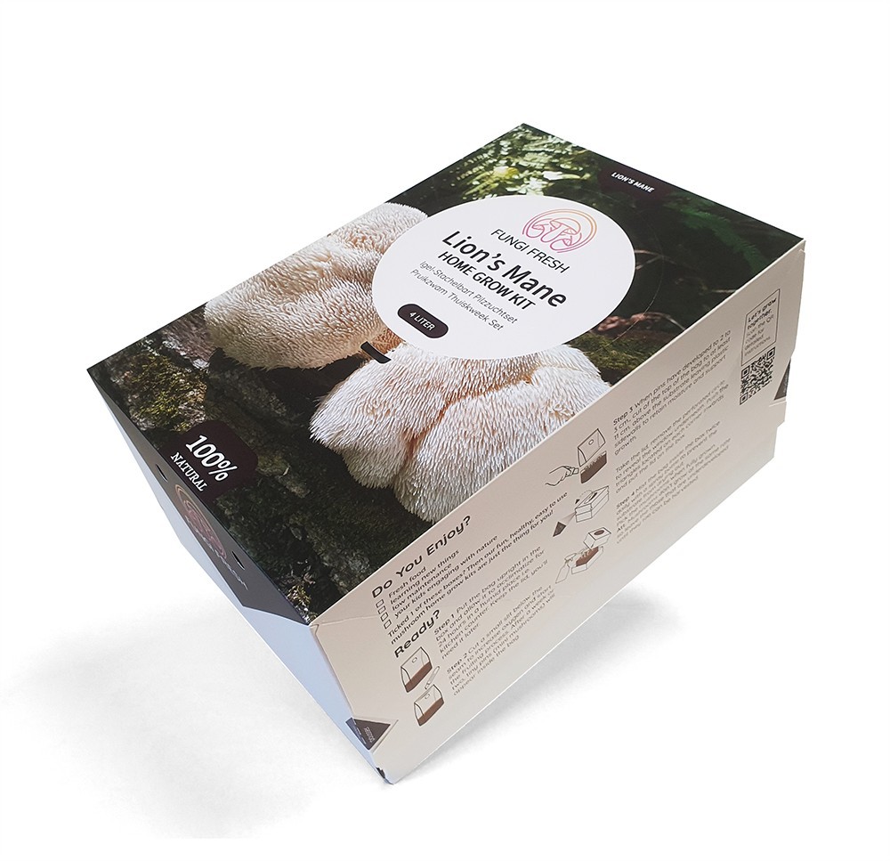 Champignon Hallucinogne Kit