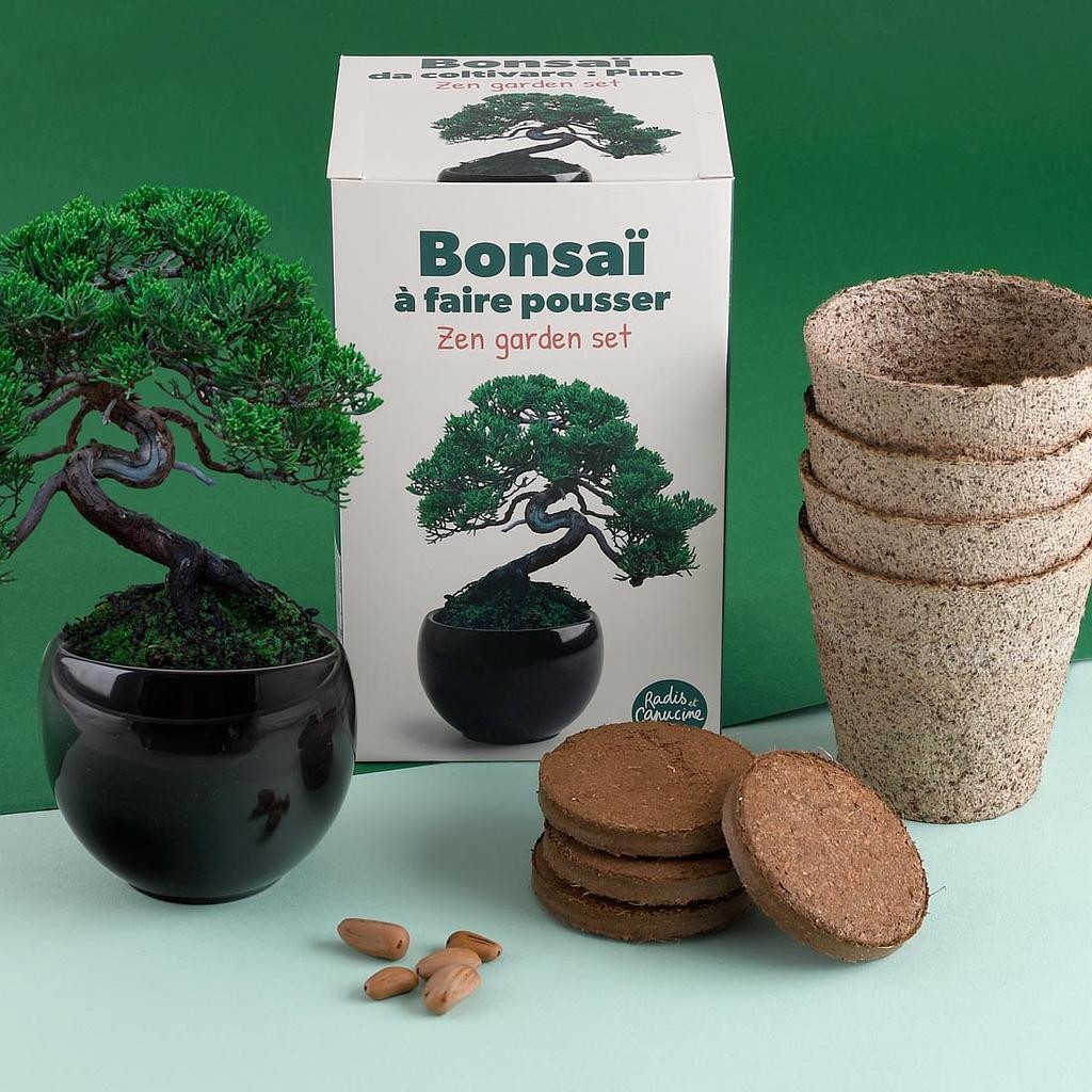 Coffret de Culture Bonsai avec Pot | Radis et Capucine