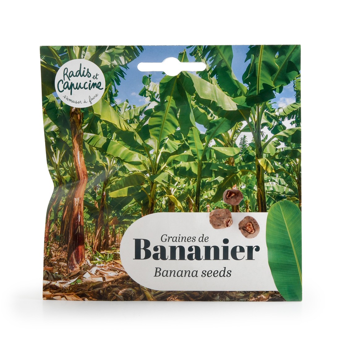 Graines de Bananier d'Ornement pour Pot | Radis et Capucine