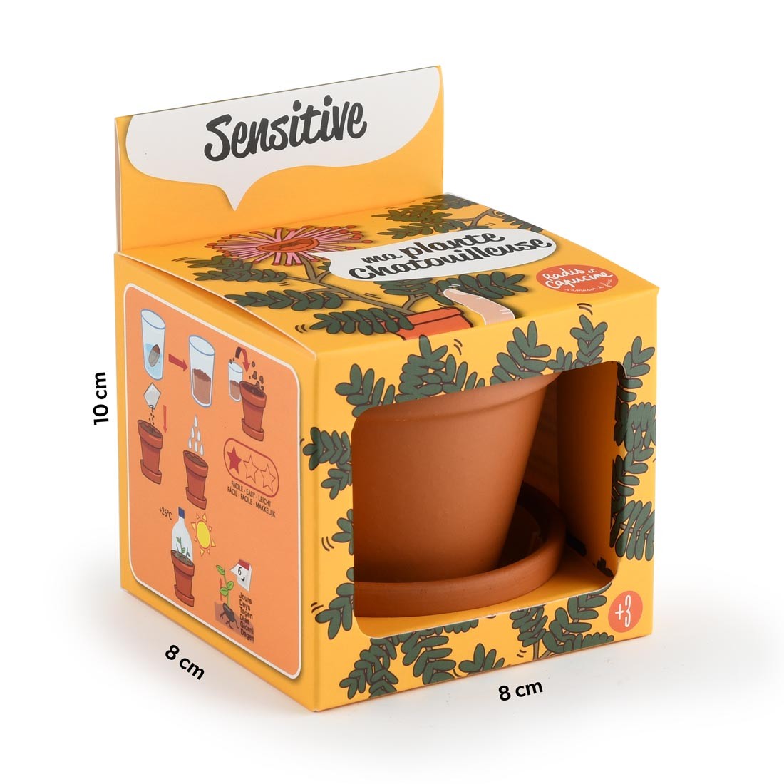 Kit Mimosa sensitive à Pousser | Radis et Capucine