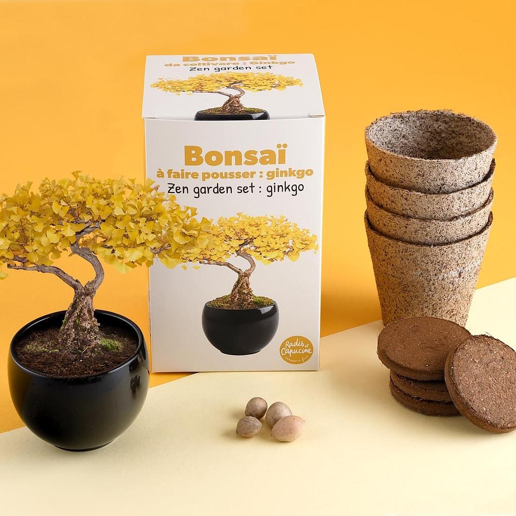 Kit Bonsaï Ginkgo Biloba - Cultivez Votre Propre Bonsa