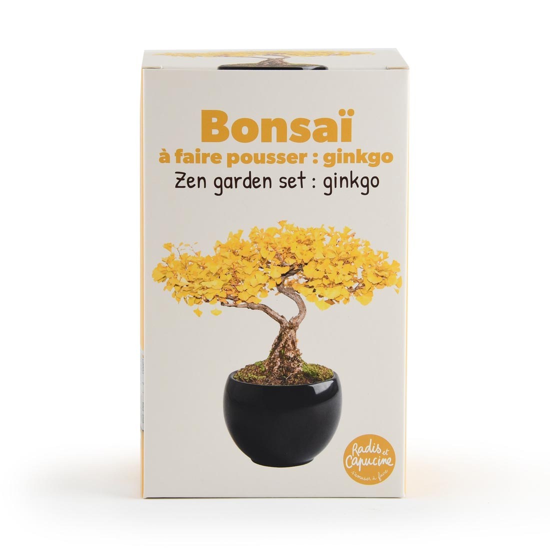Kit Bonsaï Ginkgo Biloba - Cultivez Votre Propre Bonsa